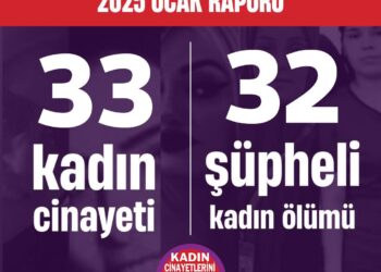 Kadın cinayetleri ocak ayı raporu